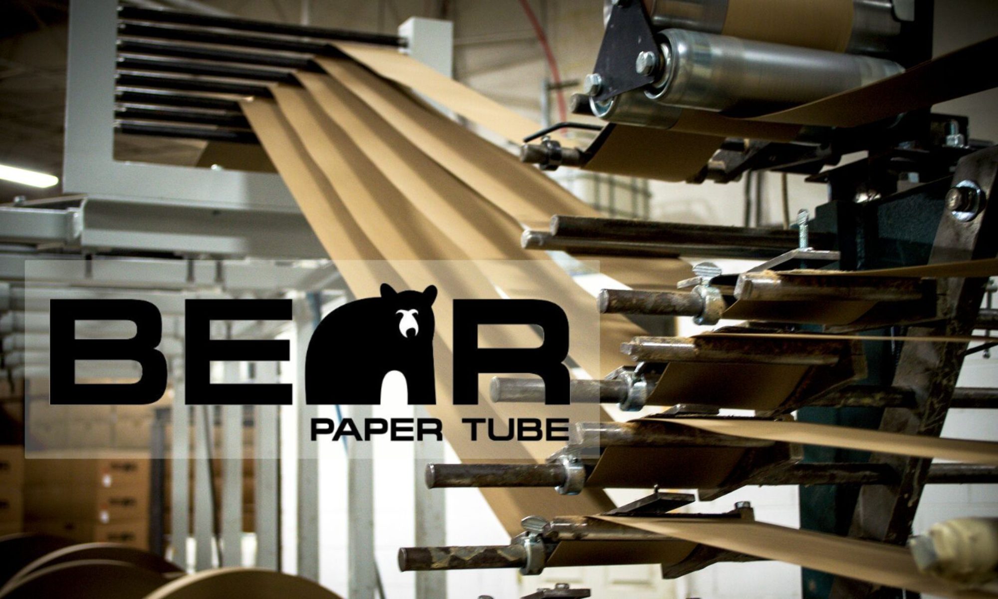 Bear Paper Tube
